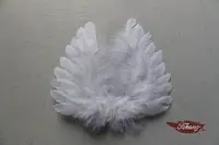 أجنحة الملاك ريشة بيضاء صغيرة fashional