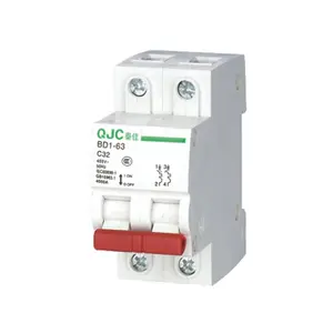 QJC OEM ODM Home Type BD1-63 2 Pole 32A 400 V AC Laagspanning Zekeringautomaat