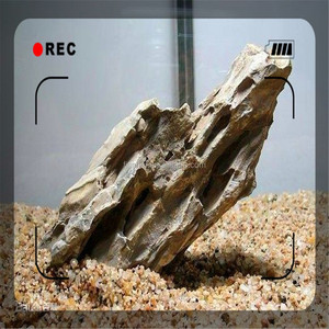 Groothandel Hot Selling <span class=keywords><strong>Aquarium</strong></span> <span class=keywords><strong>Seiryu</strong></span>-Seki Steen, Natuurlijke Qinglong Steen Voor <span class=keywords><strong>Aquarium</strong></span> - Product Image 3