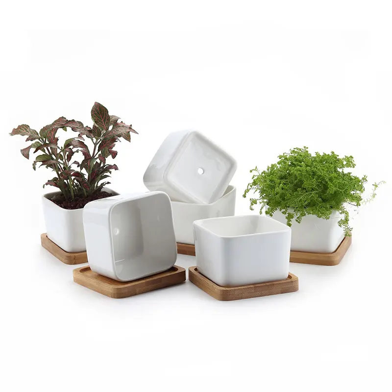 Maceta de cerámica cuadrada blanca con bandeja de bambú, minirecipiente para suculentas de jardín