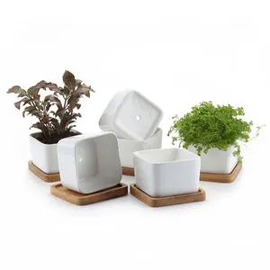 Chậu Hoa Gốm Vuông Màu Trắng Với Khay Tre Vườn Mini Pot Mọng Nước