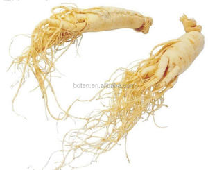 8 yıl Fabrika Kaynağı amerikan <span class=keywords><strong>ginseng</strong></span> kökü Ekstresi - Product Image 4