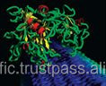 MEGA PK เอนไซม์ cellulase สำหรับการขัดถูของผ้ายีนส์ทางชีวภาพสิ่งทอเพื่อเพิ่มประสิทธิภาพในการซัก - Product Image 2