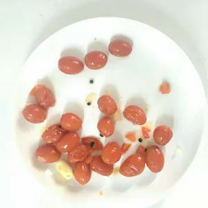 Tomate en lata de alta calidad, nuevo producto chino, sin pelar