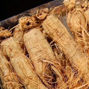 عينة مجانية عشب الجينسنغ كندا الجنس الجينسنغ - Product Image 4