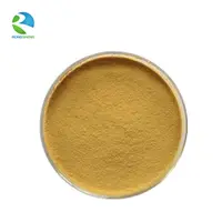 Rongsheng-extracto de seta de agarico Natural puro, venta al por mayor de fábrica