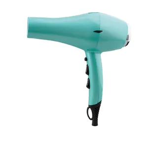 RONGGUI Factory Sale CE RoHS CB GS ISO900 Standard Professional Salon Travel Hair Dryer With Ionic