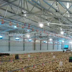 Équipements agricoles structure en acier de aviculture hangar - Product Image 4