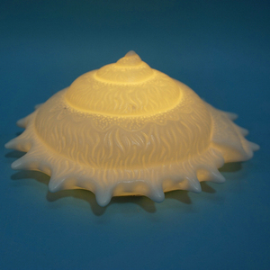 Gốm Hải Dương Seahorse Vỏ Sò Ánh Sáng Nhà Bức Tượng Cho Trang Trí Nội Thất - Product Image 3