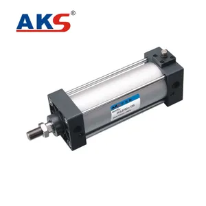 Filtered compressed air aks oem customized aluminum series cylinder china cheap 20 ton hydraulic cylinder