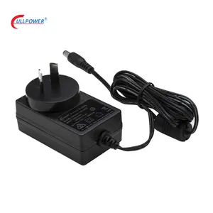 SAA RCM C-Tick 12V 2A 24V 1.25A AC DC Australia Switching Power Adapters