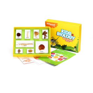 Gelsonlab HSKS-2724 Différents types de <span class=keywords><strong>champignons</strong></span> Intégré spécimens biologiques Enseignement spécimens intégrés - Product Image 1