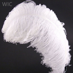 <span class=keywords><strong>Plumes</strong></span> d'autruche noires 28-30 pouces/70-75 cm, décoration économique, <span class=keywords><strong>plumes</strong></span> d'autruche blanchies - Product Image 2