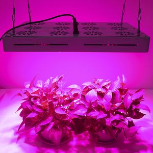 Precio directo de fábrica LED crecer luz cuántica de espectro completo <span class=keywords><strong>600</strong></span> W - Product Image 4