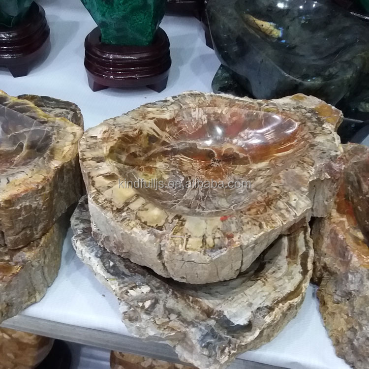 Natural Wood Fossil Slice Polished Wooden Petrified fossil Pieces for Deco · image 4
