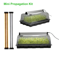 Kit de culture hydroponique robuste et réutilisable en PVC écologique pour semis, mini-serre d'intérieur pour la plantation de graines