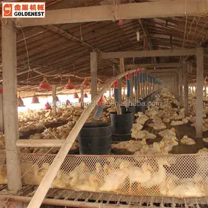 De aves de corral automática agricultura equipos para pato/de línea de alimentación