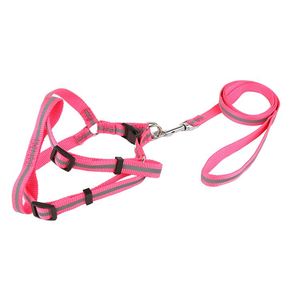 Produk baru tali harnes anjing peliharaan Premium desain OEM - Product Image 1