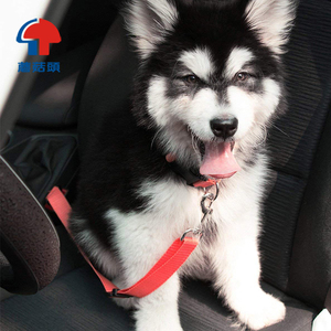 व्यक्तिगत कॉलर नायलॉन वेबबिंग वाहन सीटबेल्ट रंगीन समायोज्य पालतू कुत्ते कार सीट बेल्ट - Product Image 3