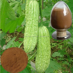 Gmp naturel de haute qualité Melon amer extrait poudre / Charantin - Product Image 2