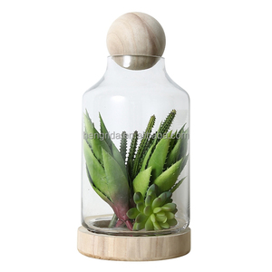 Terrarium Glass Dome Cloche mit Holz sockel schmücken eine schöne Kuppel Luft pflanze Glas birne Miniatur - Product Image 2