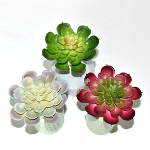 Nuevo estilo directamente de la fábrica barato y de <span class=keywords><strong>alta</strong></span> calidad de PVC mini <span class=keywords><strong>echeveria</strong></span> planta - Product Image 4