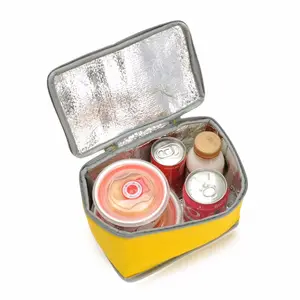 Pemasok Cina Tas Pendingin Terisolasi Tanpa Anyam Daur Ulang Kustom dengan Film Aluminium untuk Makanan Beku Dan Makan Siang - Product Image 6