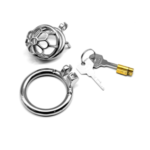 2019 FRRK01 Sex Shop 6cm <strong>Small</strong> Cock <strong>Cage</strong> with Dildo Ring <strong>Chastity</strong> Lock Stainless Steel <strong>Chastity</strong> <strong>Cage</strong> SM Toys Cock <strong>Cage</strong> for Male - Product Image 5