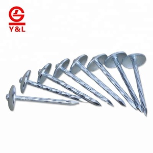 Llano/trenzado galvanizado o Un-galvanizado para techos paraguas de la cabeza <span class=keywords><strong>del</strong></span> clavo - Product Image 3
