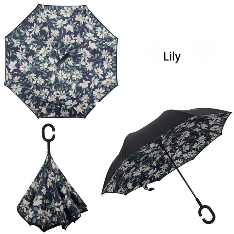 Lily