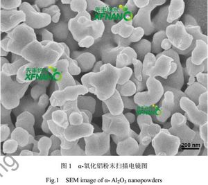 세라믹스를 위한 높은 순수성 99.9% 알파 반토 Nanoparticles <span class=keywords><strong>Nano</strong></span> 알루미늄 산화물 분말 Al2O3 Nanopowder - Product Image 2