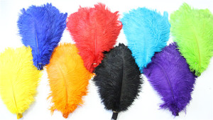 14 "-16" Al Por Mayor de la Tela Púrpura de Plumas de Avestruz Para la Decoración de Plumas de Avestruz Fan - Product Image 2
