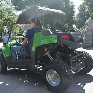 UTV 200cc, EPA 150cc ile sert üst kapaklı/sert çatılı buggy