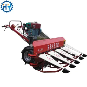 Small grass forage harvester for animal