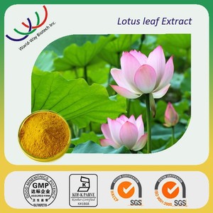 Kostenlose proben lotusblatt-extrakt nuciferin, 1% 2% nuciferin pulver lotusblatt extrakt lieferant - Product Image 4