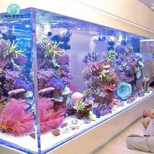 Serbatoio dell'acquario dei pannelli della struttura acrilica di qualità eccezionale di vendita calda della fabbrica con la coppa - Product Image 6