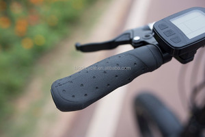 Speed Sensor for <span class=keywords><strong>e</strong></span> <span class=keywords><strong>bike</strong></span> Changzhou Bisek Bisek - Product Image 4