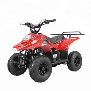 Tao Motor ATA110-B1 Cheap Farm 110cc Kids ATV in vendita