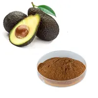 Avocado Powder, Avocado Seed Powder