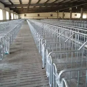 Peternakan Babi Pagar Farrows Crate untuk Babi Seksi Galvanized Farrow Crate Gestation Stall