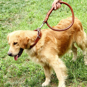 Correa de cuero PU para perro, suministros para mascotas, <span class=keywords><strong>Collar</strong></span> de correa - Product Image 6