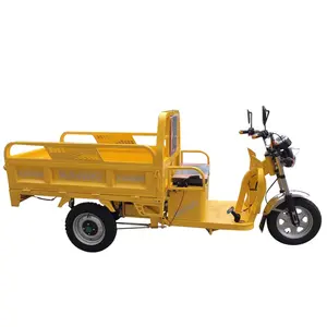 Mini Tricycle Modern Rickshaw 3 Wheel Electric Cargo Tricycle Express Rickshaw For Sales