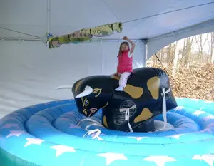 Giro mecânico inflável do parque de diversões, jogo inflável do touro do cavalo para venda