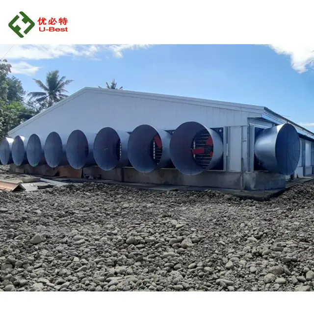Sistem Broiler kontrol harga rendah terowongan otomatis Filipina ventilasi rumah kandang unggas ayam
