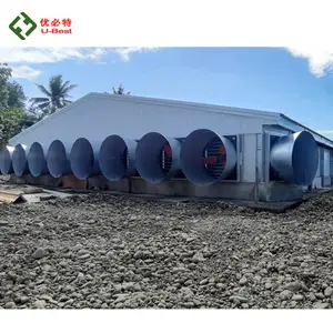 Tunnel automatique philippin Contrôle à bas prix Système de ventilation pour poulets de chair Hangar pour poulets de volaille Maison