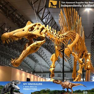 私の恐竜教育用等身大恐竜骨格模型 スピノサウルス - Product Image 6