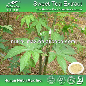 Rubus 잎 추출물 분말 Rubus Suavissimus 중국어 달콤한 잎 70% Rubusosides