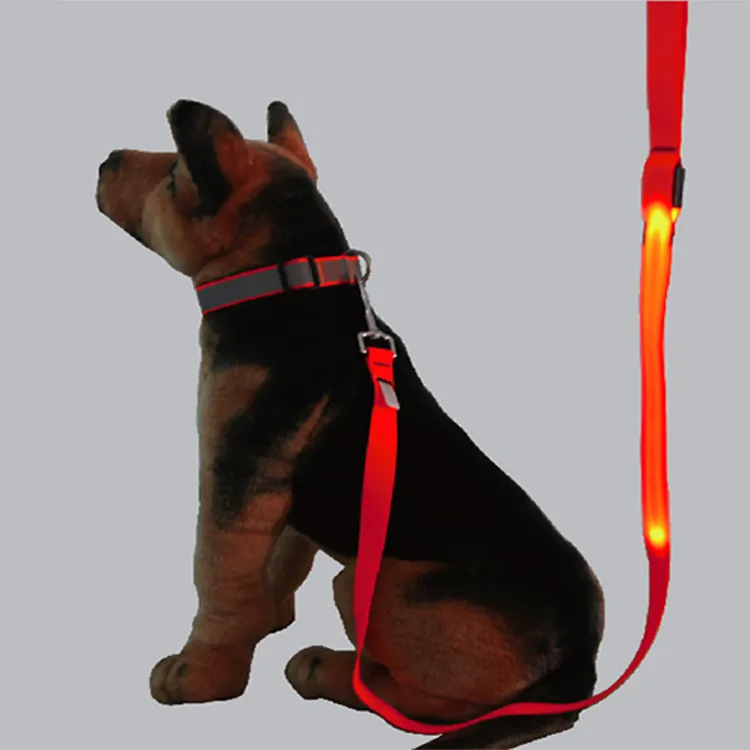 Laisse de chien LED haute visibilité