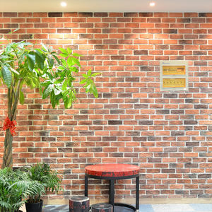 Moldes de ladrillo antiguo hechos a mano de estilo europeo Diseño de azulejo exterior decorativo de ladrillo rojo ligero - Product Image 2