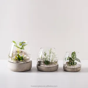 Vaso da tavolo in <span class=keywords><strong>vetro</strong></span> da tavolo caldo <span class=keywords><strong>di</strong></span> alta qualità a buon mercato all'ingrosso con base in cemento <span class=keywords><strong>per</strong></span> decorazioni <span class=keywords><strong>per</strong></span> la casa <span class=keywords><strong>di</strong></span> <span class=keywords><strong>piante</strong></span> succulente ecc - Product Image 1